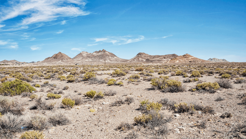 There's a lot more than rabbit brush in Tonopah, NV