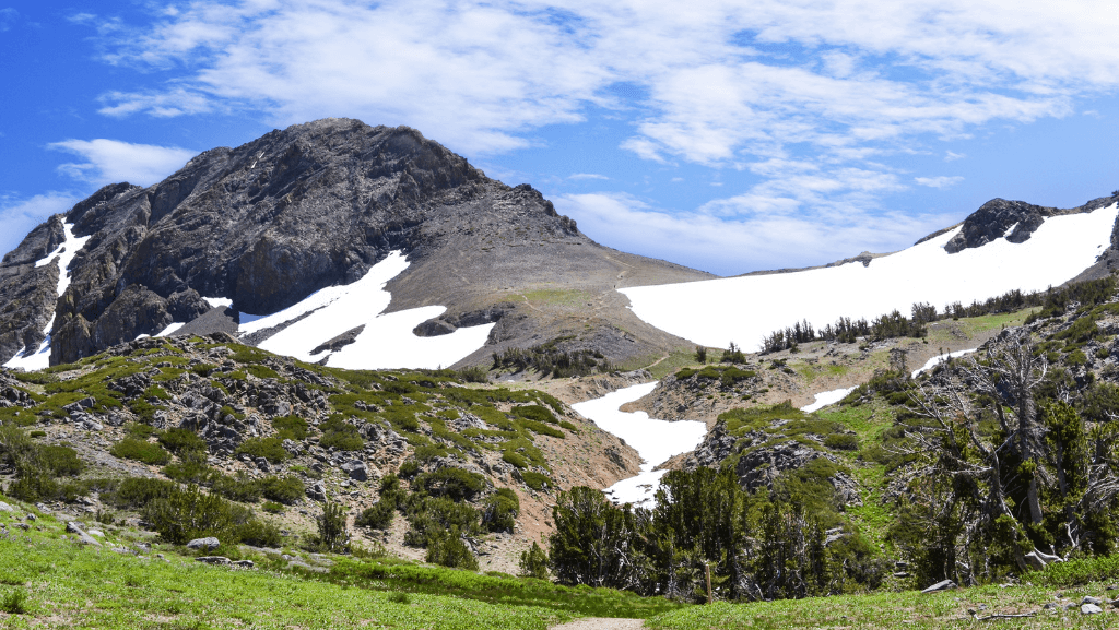 The Trail to Winnemucca Lake