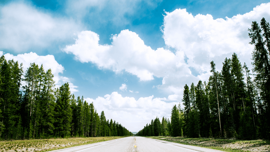 The Road Leading into West Yellowstone