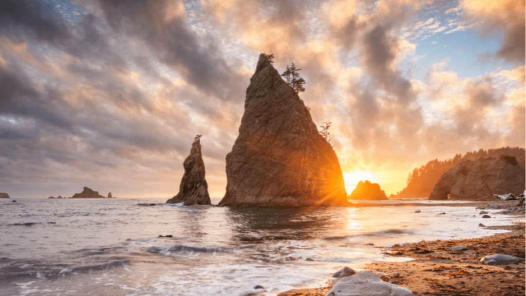 Olympic National Park at Sunset
