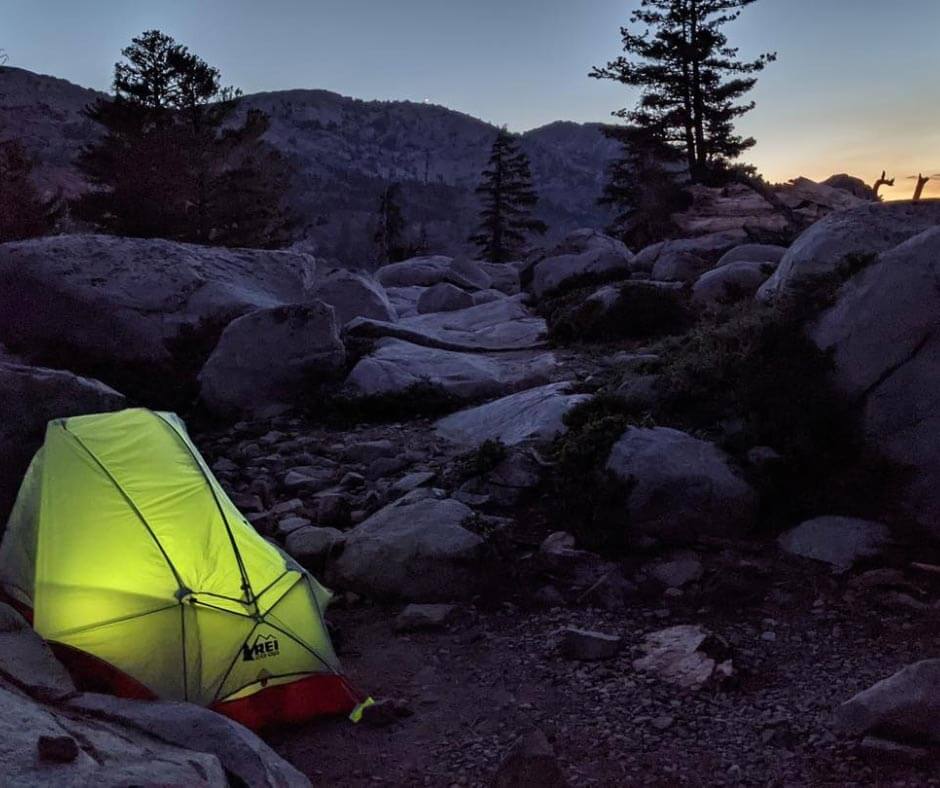 They Belong Here: Help Keep Tahoe Bears Wild - Visit Lake Tahoe