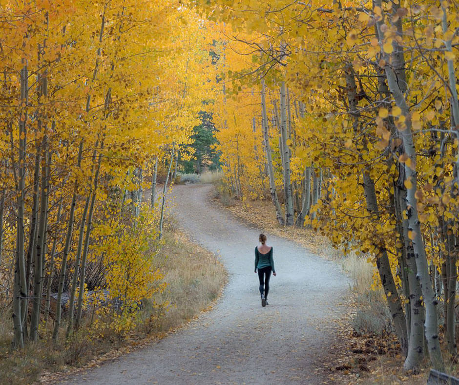 Spooner Lake Loop with Fall colors Lake Tahoe Gabriella Viola Iinstagram