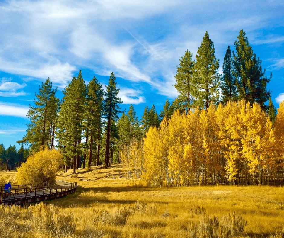 fall colors near lake tahoe