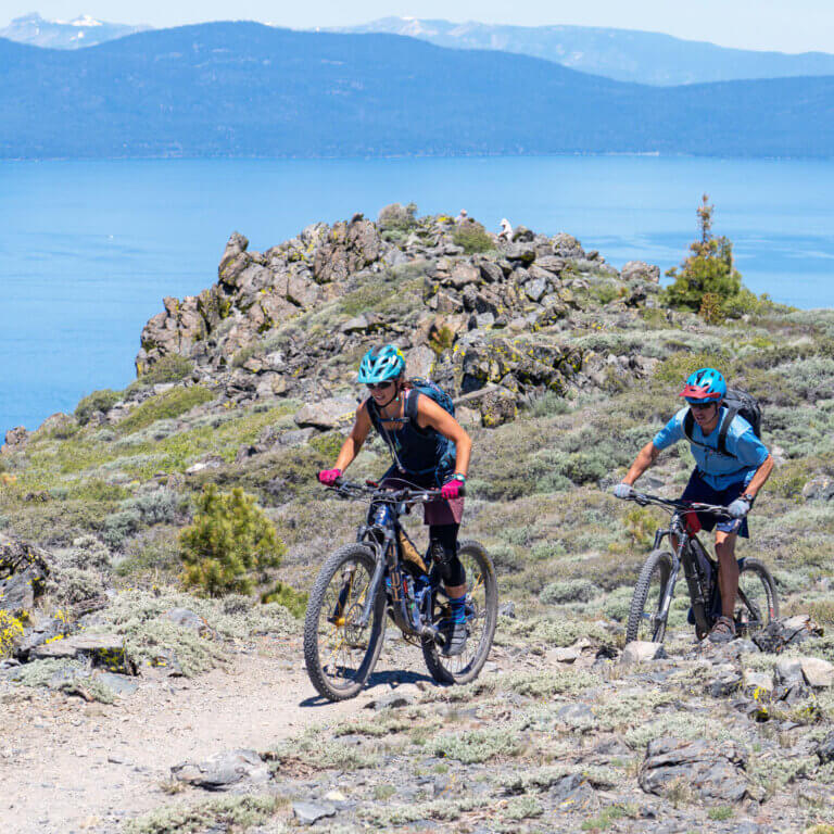 Tahoe Area Mountain Biking Association