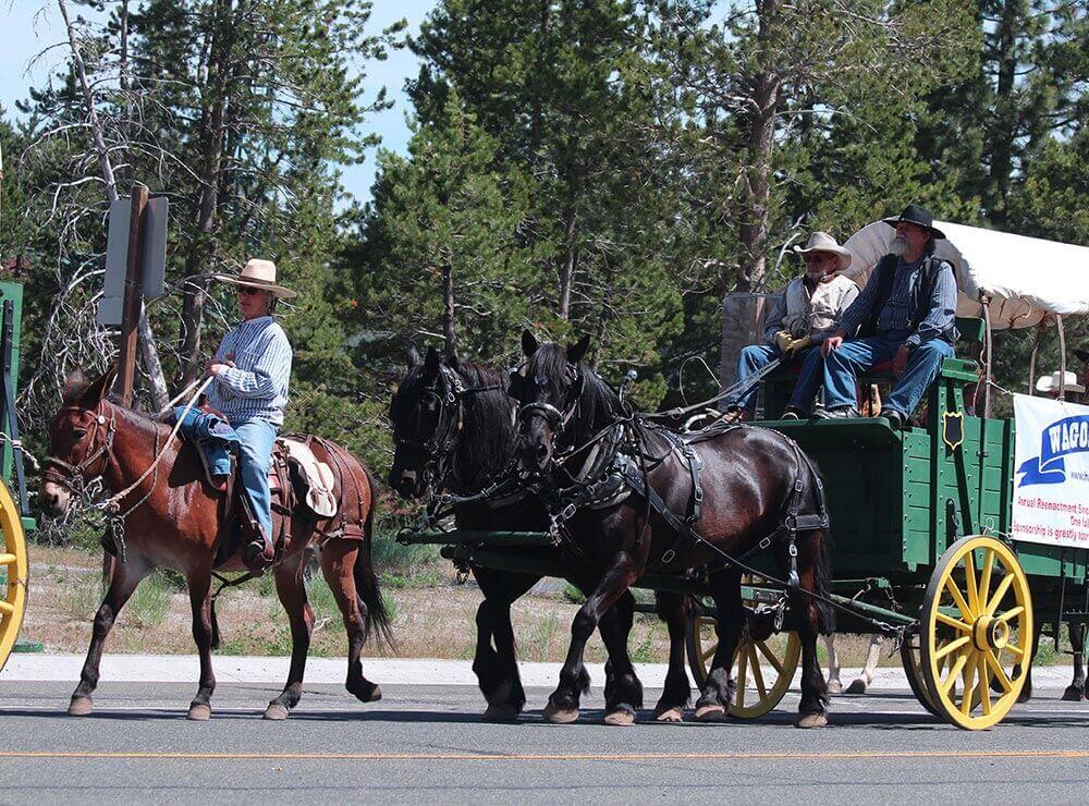 Horse Drawn Wagon and Cowboy