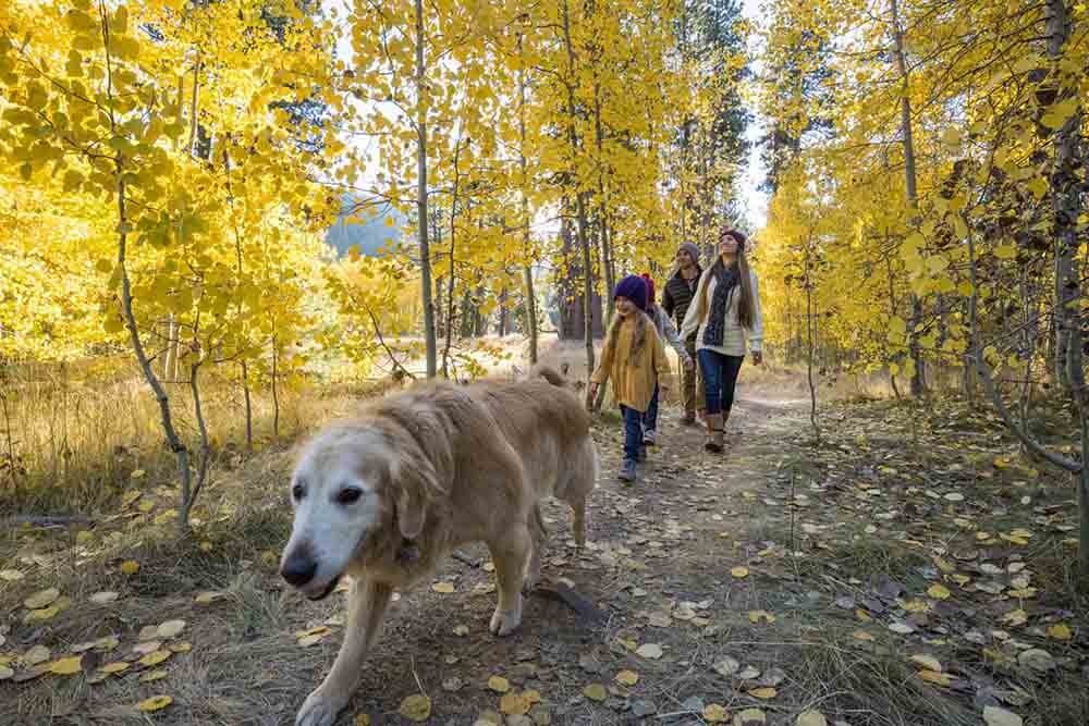 family hiking with dog in lake tahoe