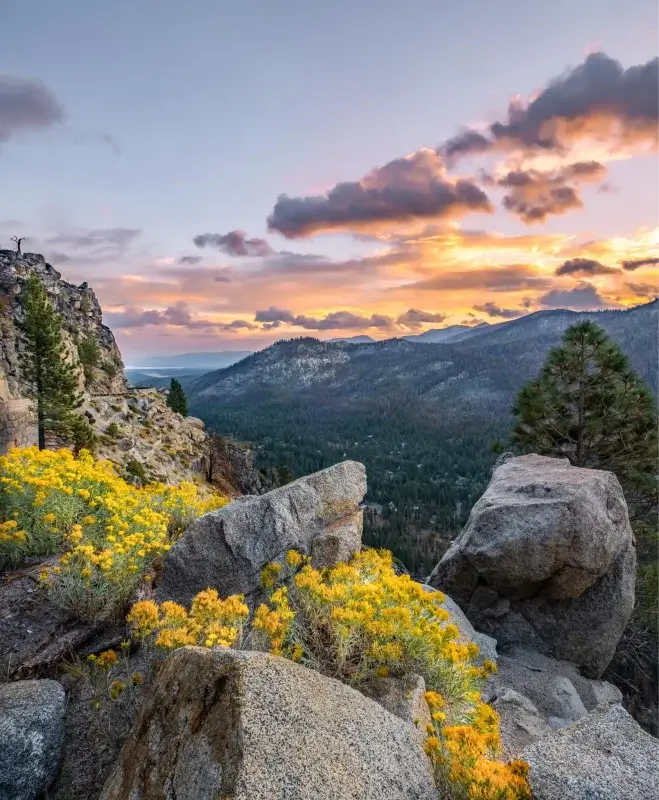 Sunset from Echo Summit with seasonal flowers in view