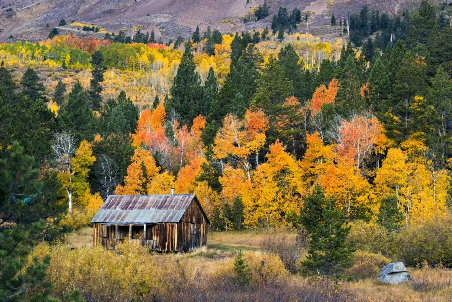 Scenic views of fall foliage with an empty barn in a meadow in Hope Valley
