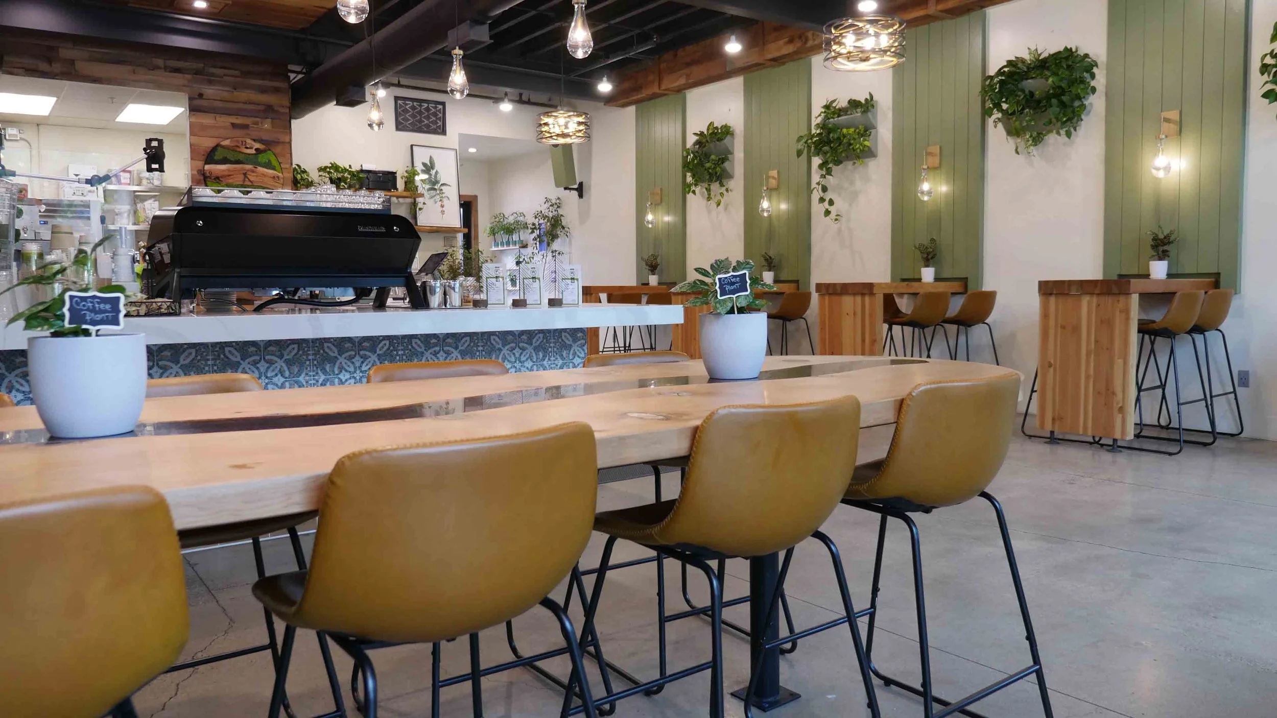 Three Pines Coffee Tahoe