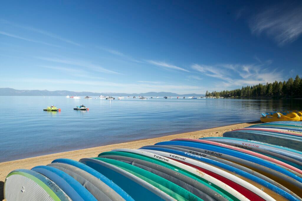 paddleboards lined up on a lake tahoe beach