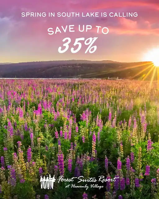 Forest Suites Resort at Heavenly Village