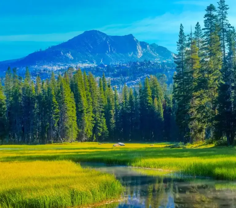 Forest Suites Resort at Heavenly Village