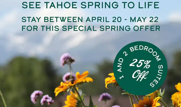 Forest Suites Spring Deal Lake Tahoe