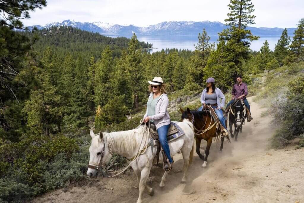 group horseback riding in south lake tahoe