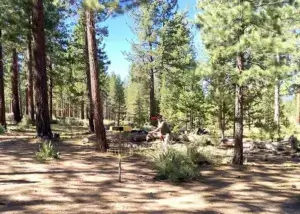 Bijou Disc Golf Tahoe