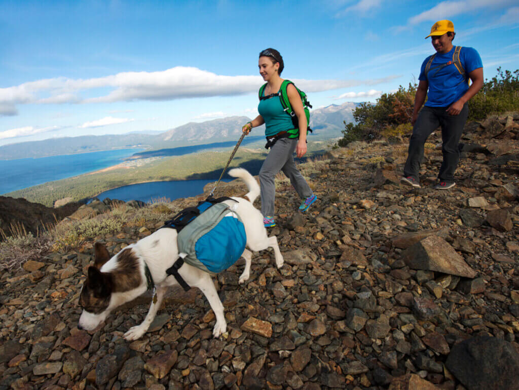 couple hiking with dog south lake tahoe