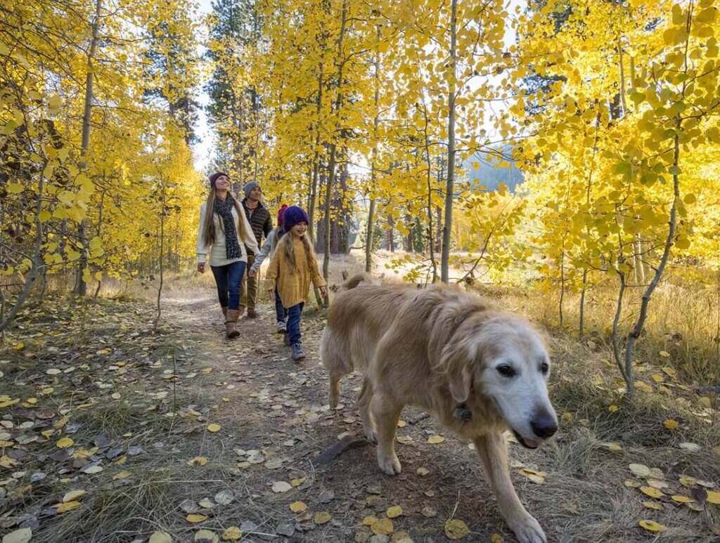 family hiking south lake tahoe fall