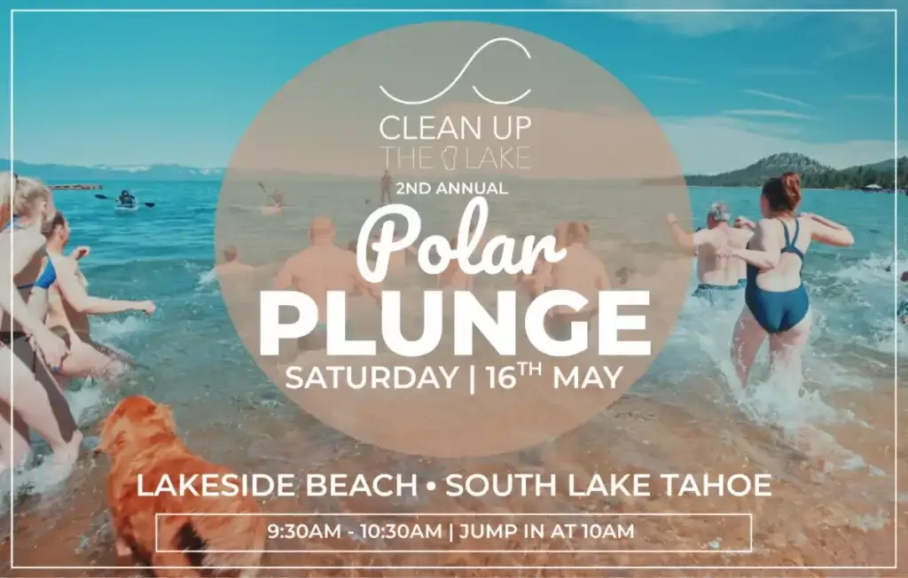 Polar Plunge Lakeside Beach Lake Tahoe