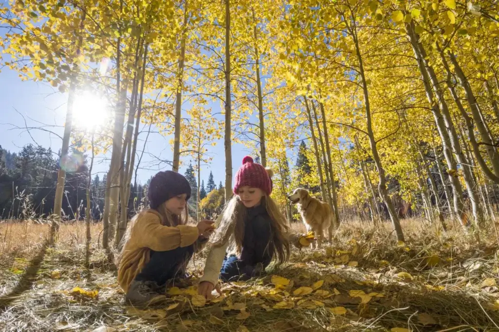 Family Fun Lake Tahoe Fall