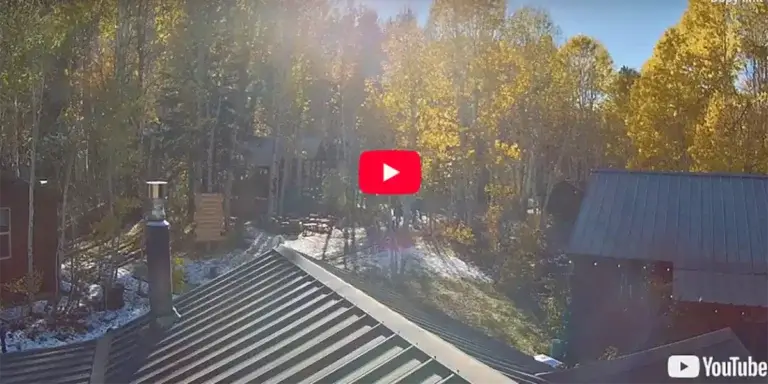 Leaf Peep Cam Hope Valley Desolation Hotel Lake Tahoe