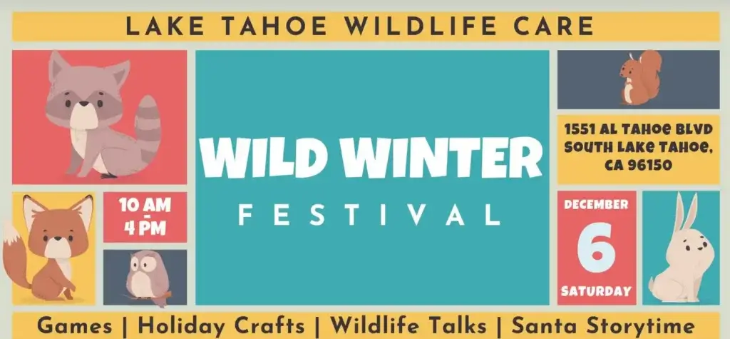 Lake Tahoe Wildlife Care's Wild Winter Festival
