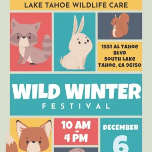 Lake Tahoe Wildlife Care's Wild Winter Festival