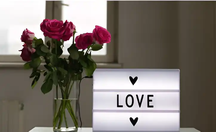 PlayPark Lodge Lake Tahoe