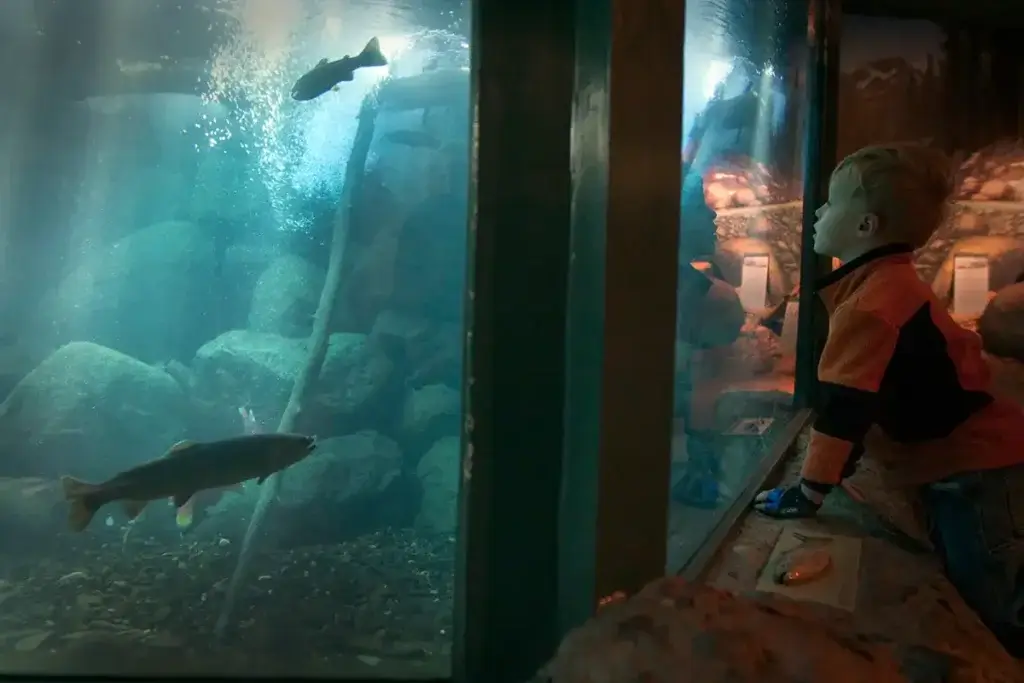 Taylor Creek Stream Profile Chamber Lake Tahoe