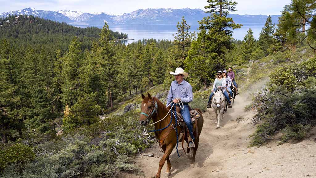 horseback riding tours at south lake tahoe