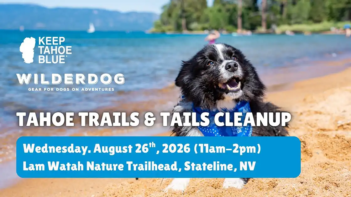 Tahoe Trails & Tails Cleanup with Keep Tahoe Blue x Wilderdog