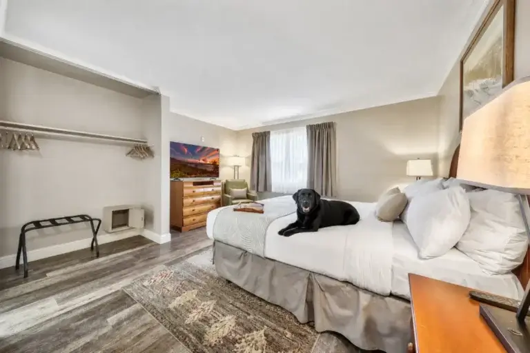 Forest Suites sit Stay and Play Offer Lake T